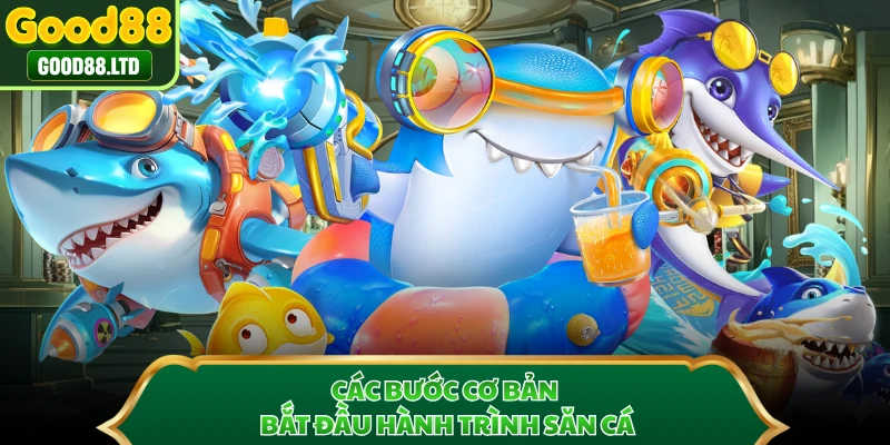Các bước cơ bản bắt đầu hành trình săn cá