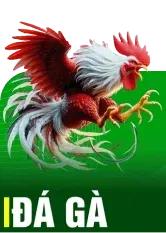 đá gà good88