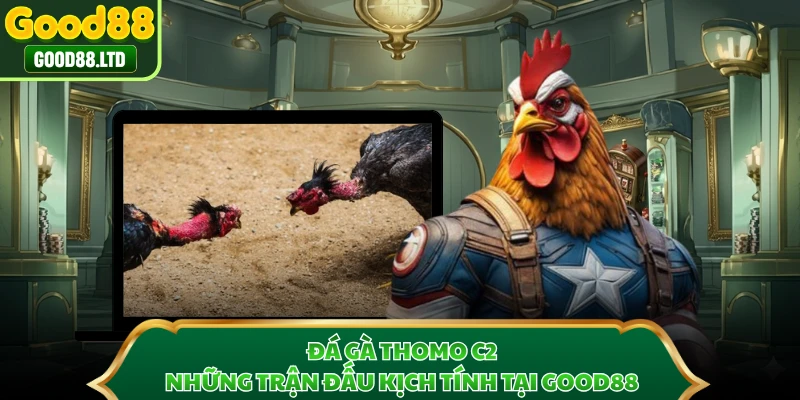 Đá Gà Thomo C2 - Những Trận Đấu Kịch Tính Tại GOOD88