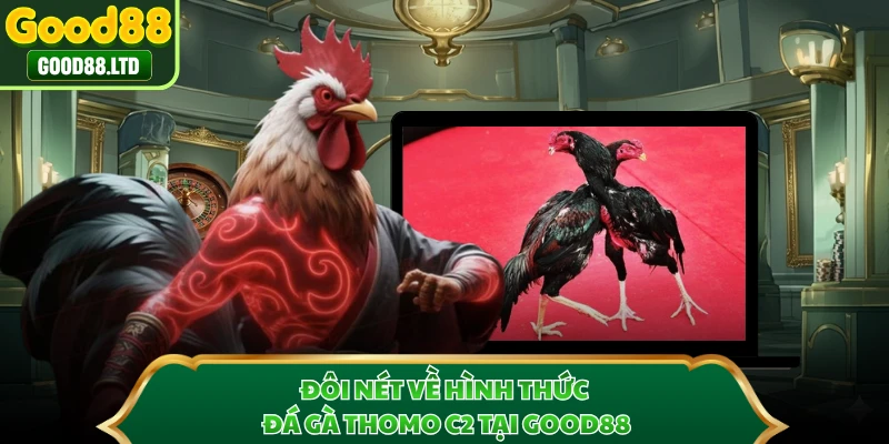 Đôi nét về hình thức đá gà Thomo C2 tại GOOD88