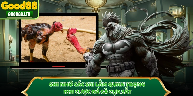 Ghi nhớ các sai lầm quan trọng khi cược đá gà cựa sắt