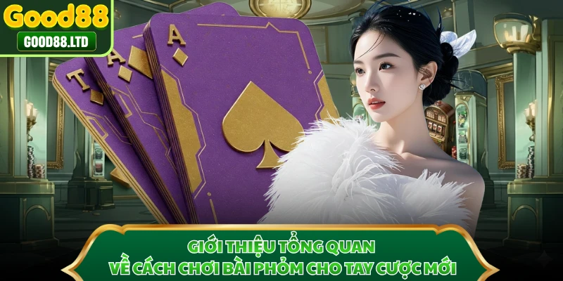 Giới thiệu tổng quan về cách chơi bài phỏm cho tay cược mới