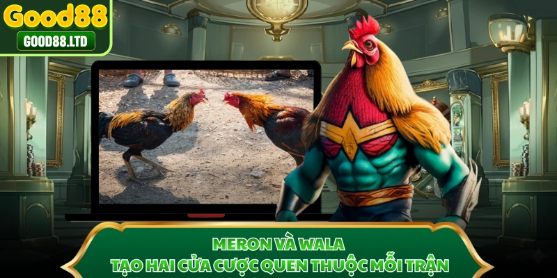 Meron và Wala tạo hai cửa cược quen thuộc mỗi trận