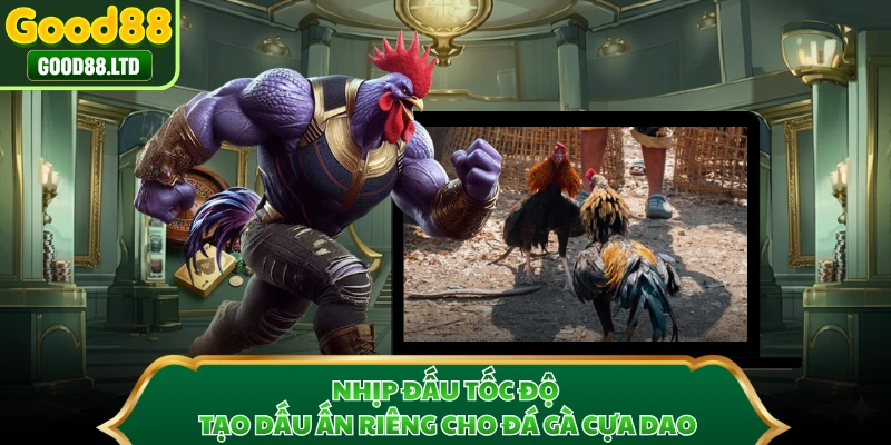 Nhịp đấu tốc độ tạo dấu ấn riêng cho đá gà cựa dao
