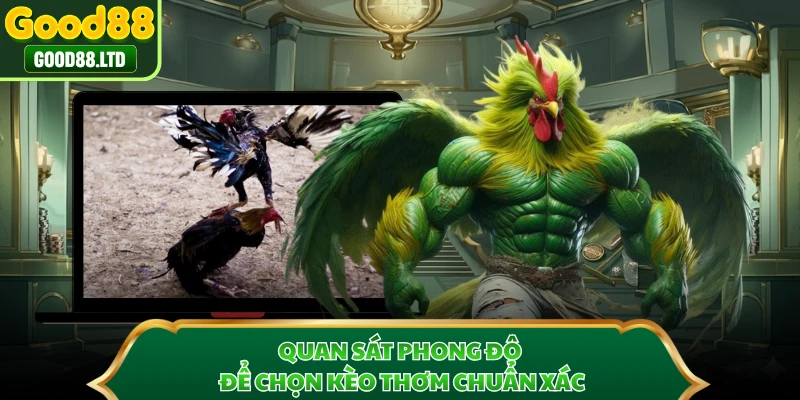 Quan sát phong độ để chọn kèo thơm chuẩn xác