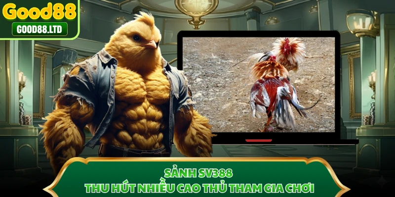 Sảnh SV388 thu hút nhiều cao thủ tham gia chơi